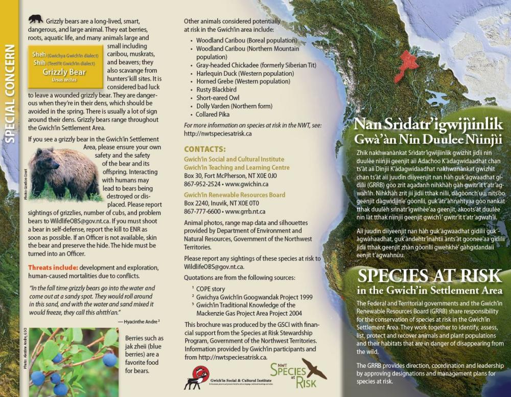 Nan Srìdatr’igwijìinlik Gwà’àn Nin Duulee Nìinjìi Nan Srìdatr’igwijìinlik Gwà’àn Nin Duulee Nìinjìi Image