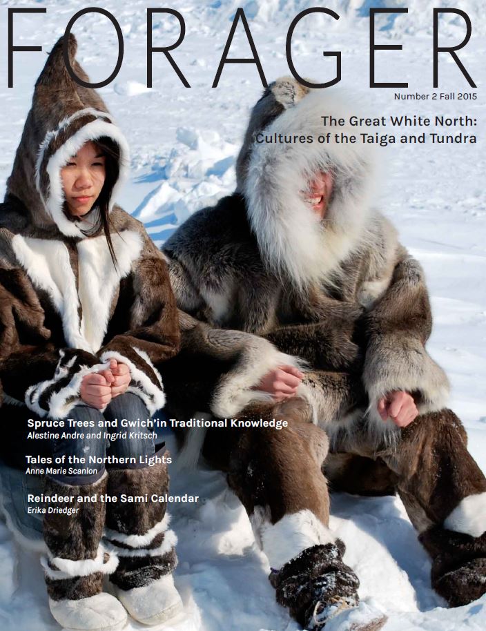 Spruce Trees and Gwich'in Traditional Knowledge: Their Importance in the Northwest Territories Spruce Trees and Gwich'in Traditional Knowledge: Their Importance in the Northwest Territories