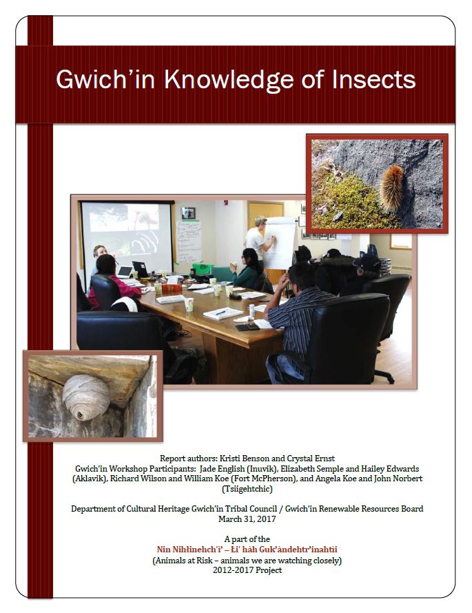 Gwich'in Knowledge of Insects Report Cover Gwich'in Knowledge of Insects Report Cover