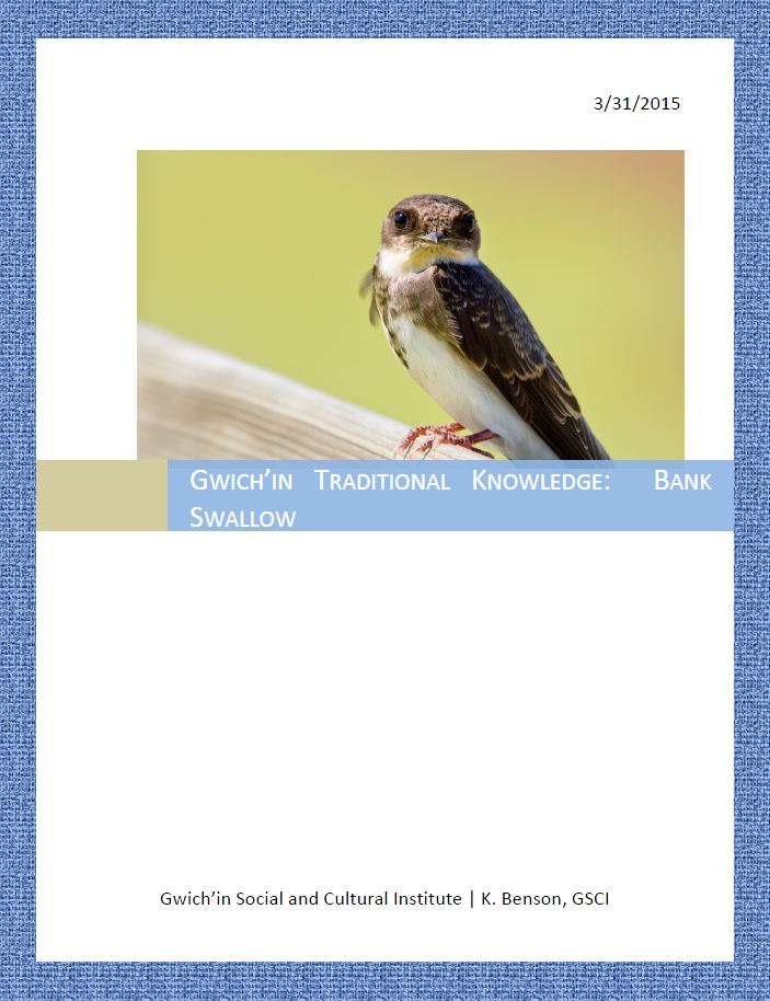 Gwich'in Traditional Knowledge: Bank Swallow Report Cover